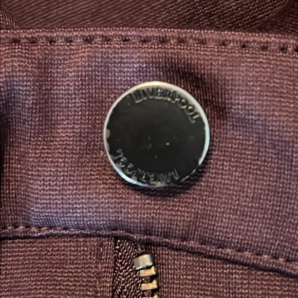 Liverpool Petite Madonna Skinny Crop Pants in Aubergine Size 10/30P - Picture 12 of 13